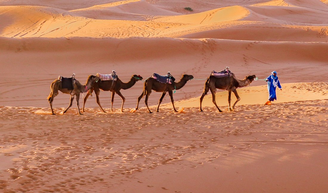 Carovana nel deserto © Eleutha
