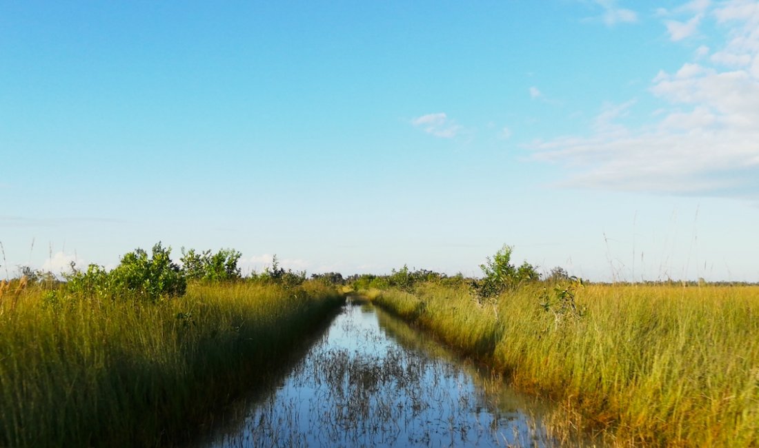 Lungo le Everglades © Usa la valigia