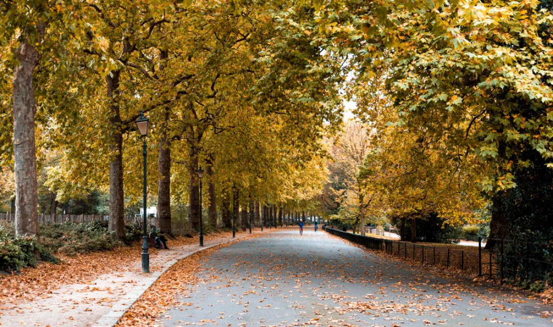 Battersea Park. Credits anastas_styles / Shutterstock