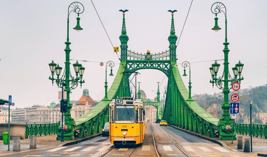 Il Ponte della Libertà, Budapest