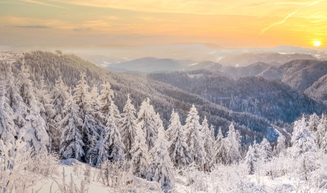 La Foresta Nera in bianco. Credits Sina Ettmer Photography / Shutterstock