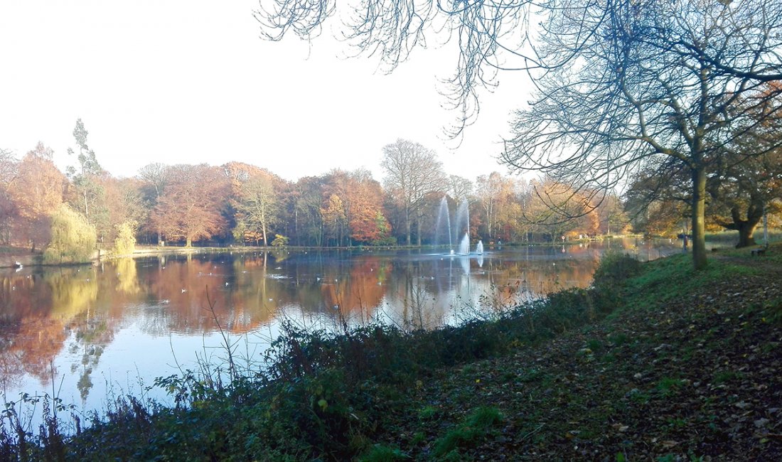 Uno scorcio del Roundhay Park | Credit Alice Boschi - Minorca all'improvviso