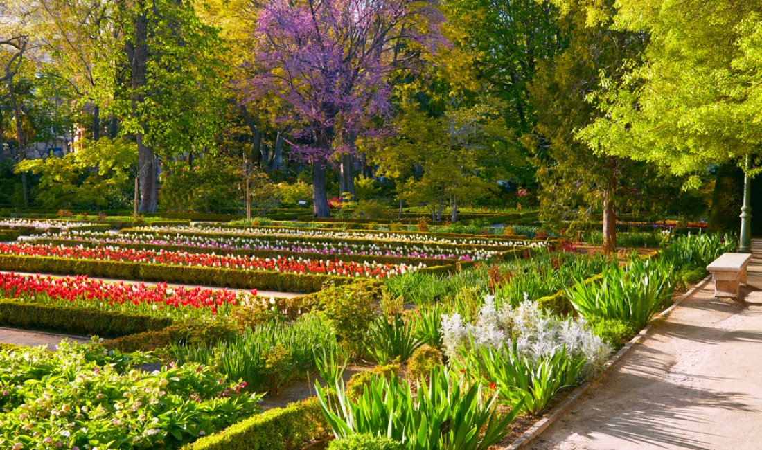 I viali del Real Jardín Botánico. Credits SJ Travel Photo and Video / Shutterstock