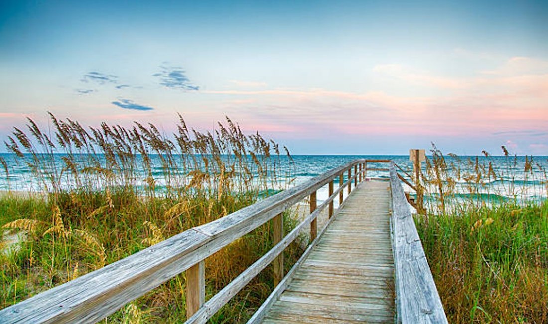 Maremma, poesia di canne e mare. Credits Gary C. Tognoni / Shutterstock