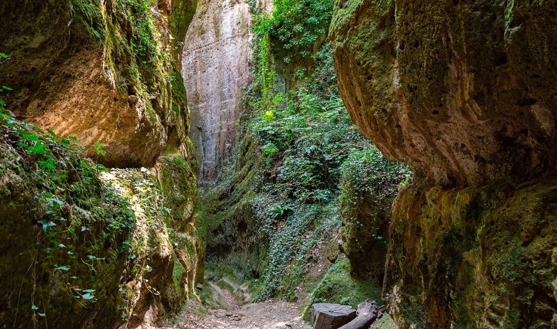 Luoghi di pietra: le città del tufo della Toscana meridionale